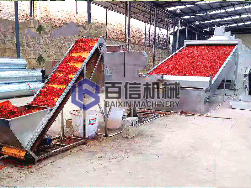 海南大型辣椒烘干機